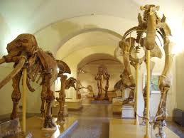 Come unire due Google Maps