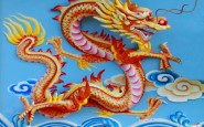 dragone cinese 3