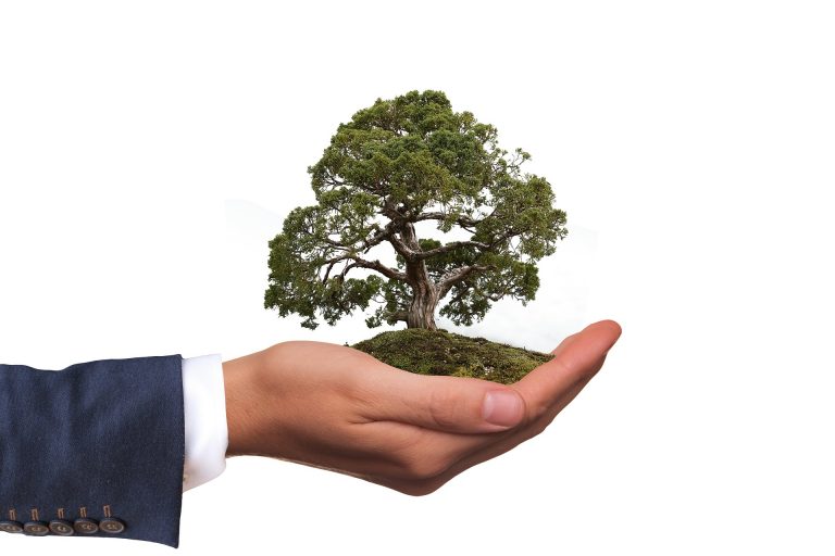 ecobonus