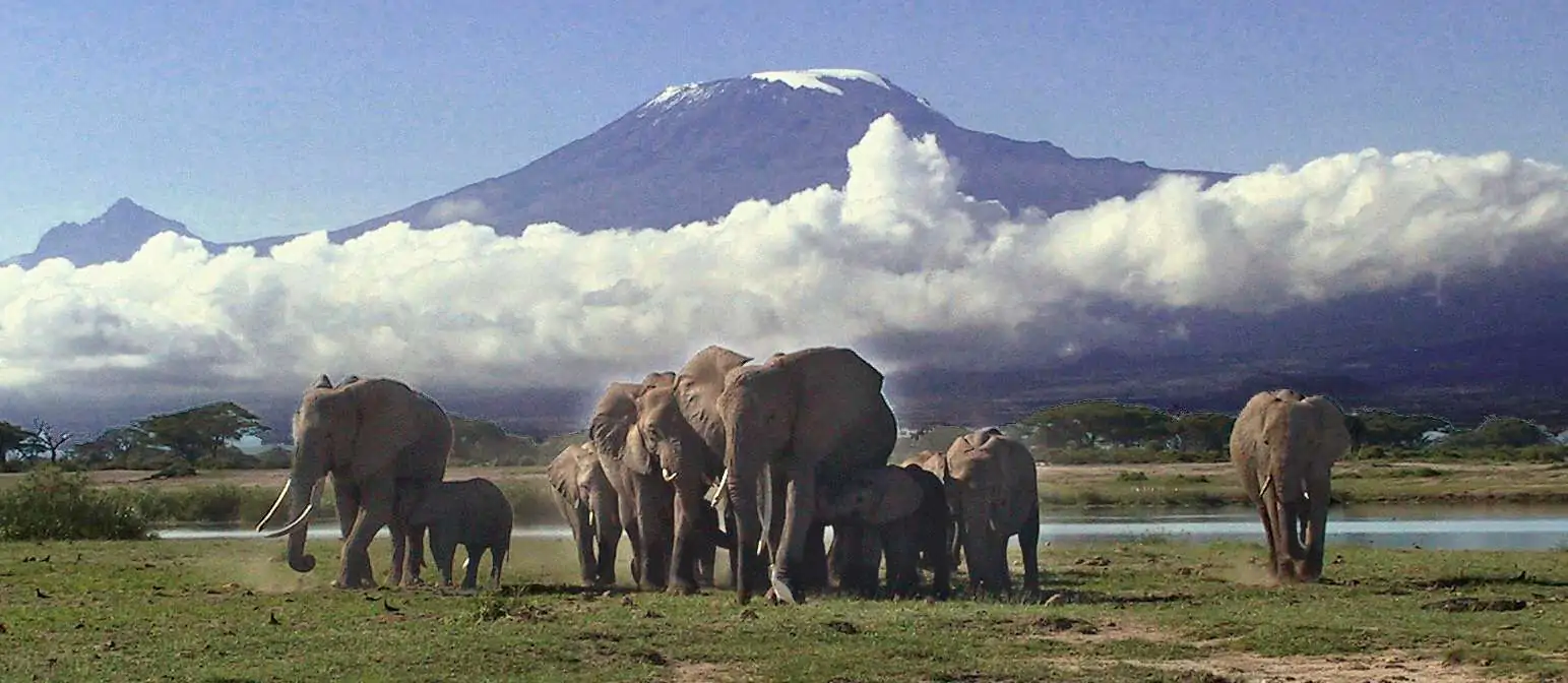 eles kili adjusted crop