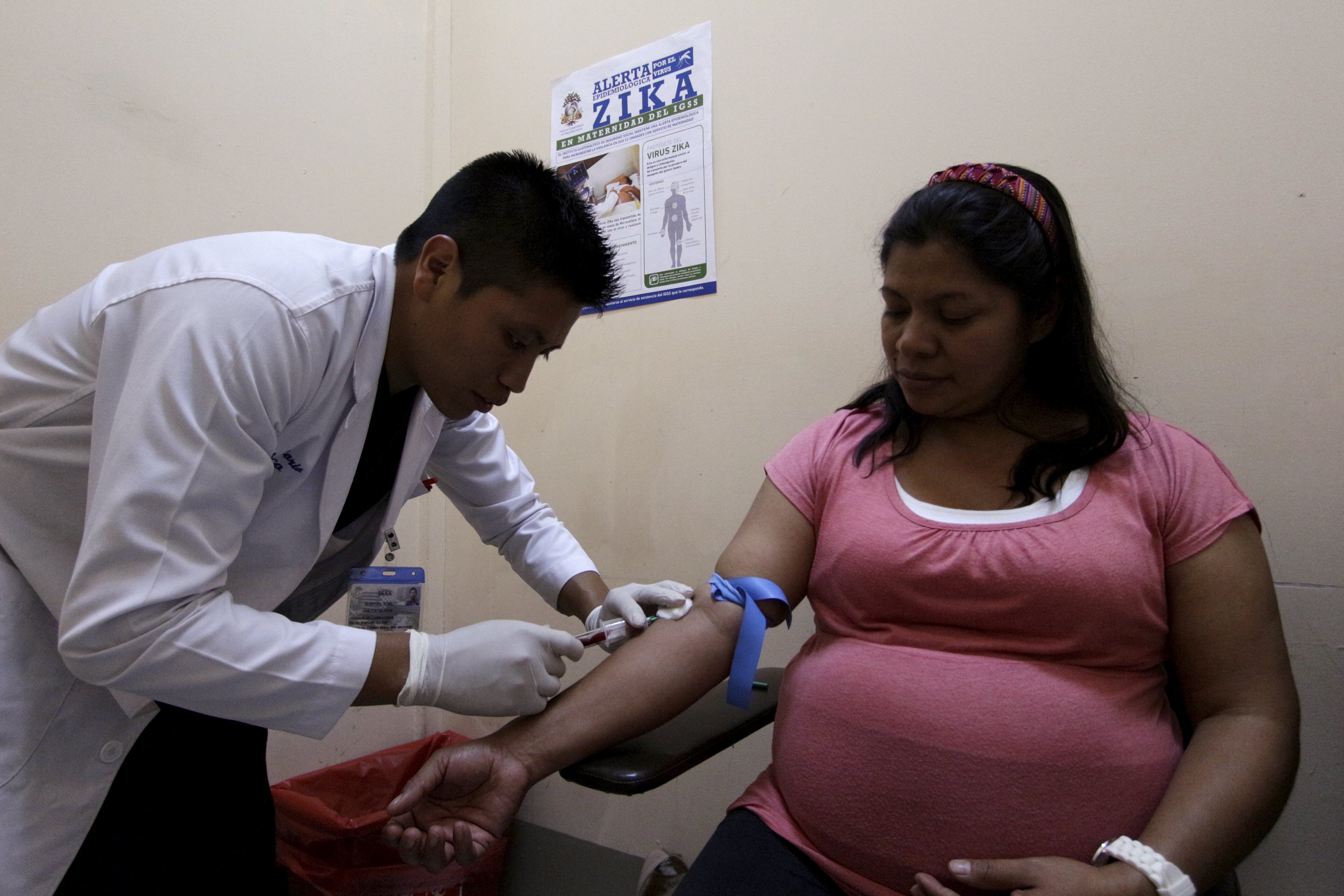 Cos'è e come si trasmette il virus Zika