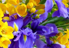Quali sono fiori di Bach per fame nervosa