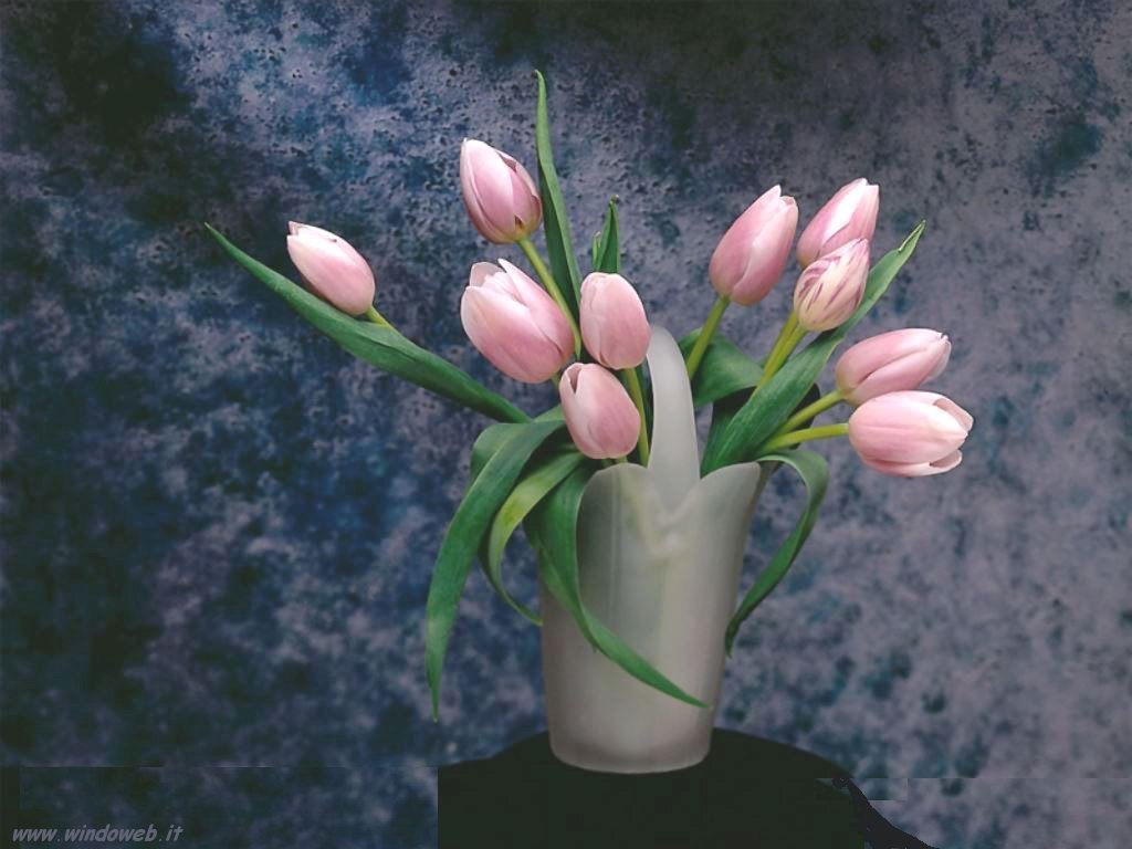 Come prolungare la vita dei fiori tagliati