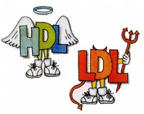 hdl