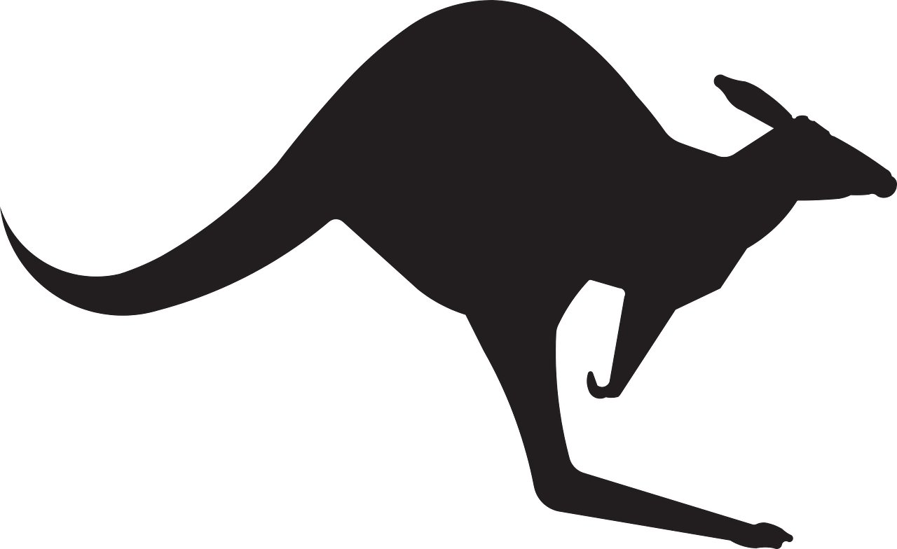 kangaroo 306483 1280
