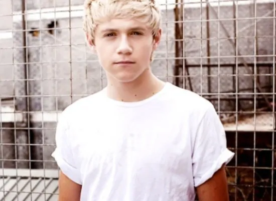 niall horan curiosita 550x402