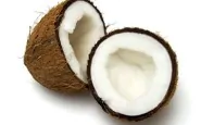 noce cocco