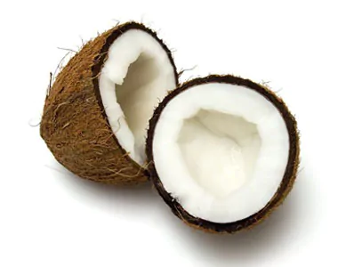 noce cocco