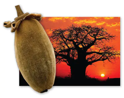 olio di baobab
