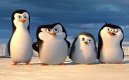 pinguini madagascar