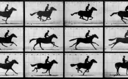 Eadweard Muybridge galloping Horse 11