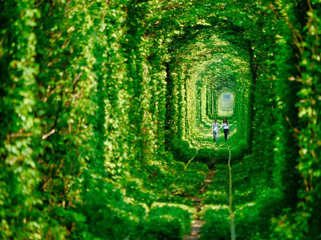 Il tunnel dell'amore