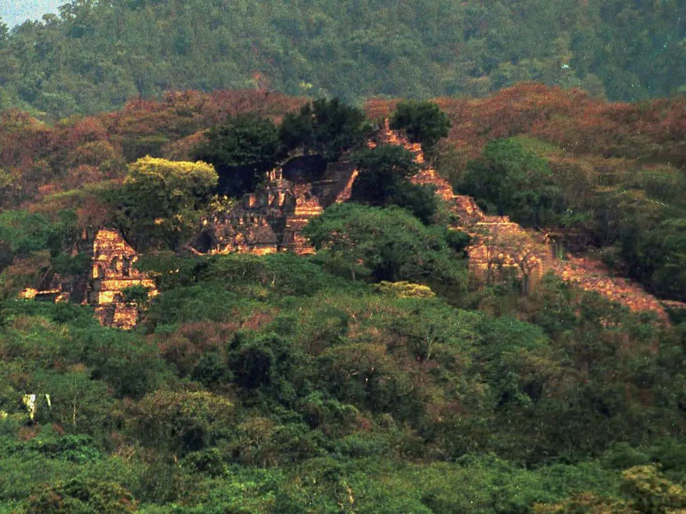 Città Maya dimenticata "scoperta" in America Centrale da un Quindicenne