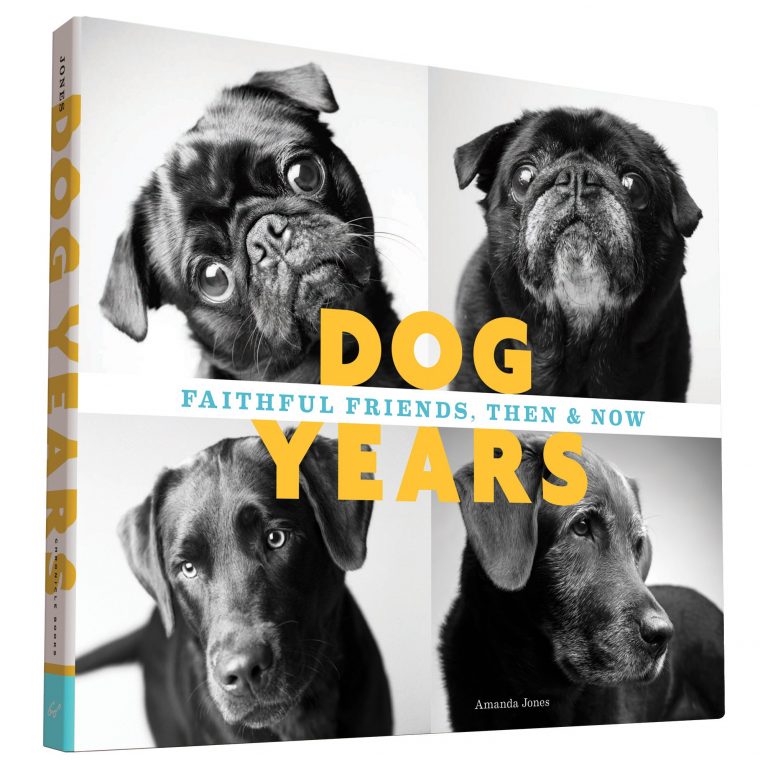 Come i cani invecchiano un progetto fotografico affascinante e toccante