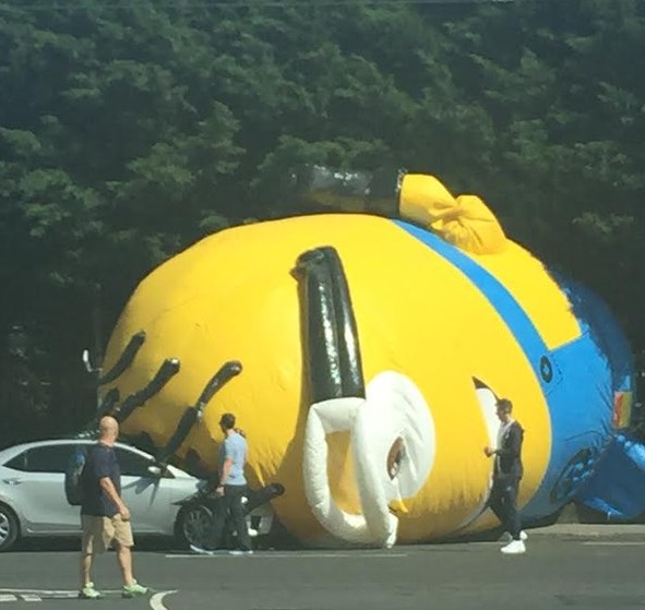 Il Minion che ha invaso la periferia Nord di Dublino