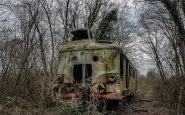 Foresta Treni 4