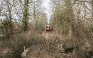 Foresta Treni 5