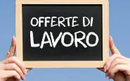 OFFERTE DI LAVORO