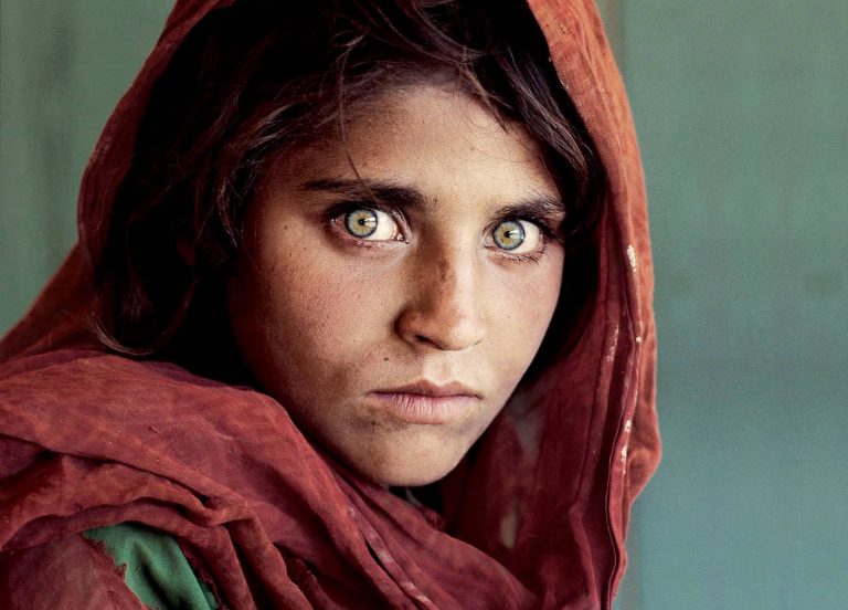 Sharbat Gula 768x552