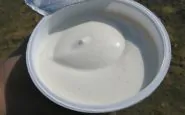 yogurt zucchero acqua