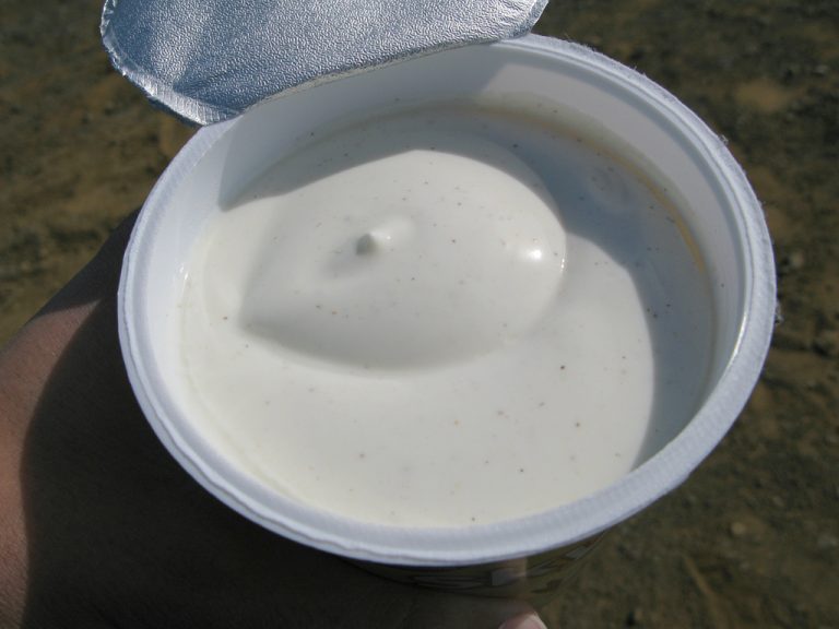 yogurt zucchero acqua