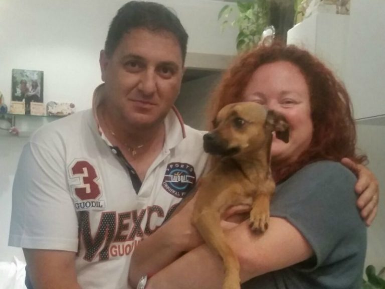cagnolina