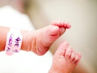 Italia: tasso di natalità più basso di sempre.