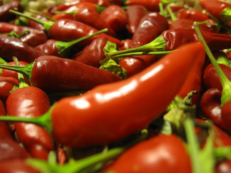 peperoncini piccanti