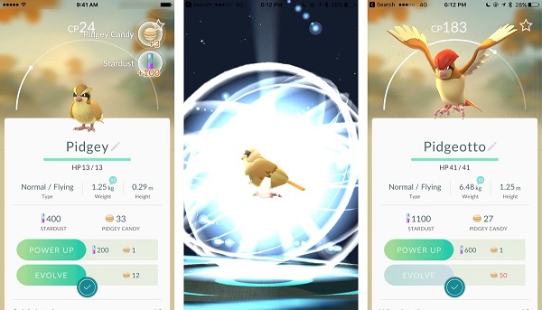 ALLENARE POKEMON. ALLENARE POKEMON.