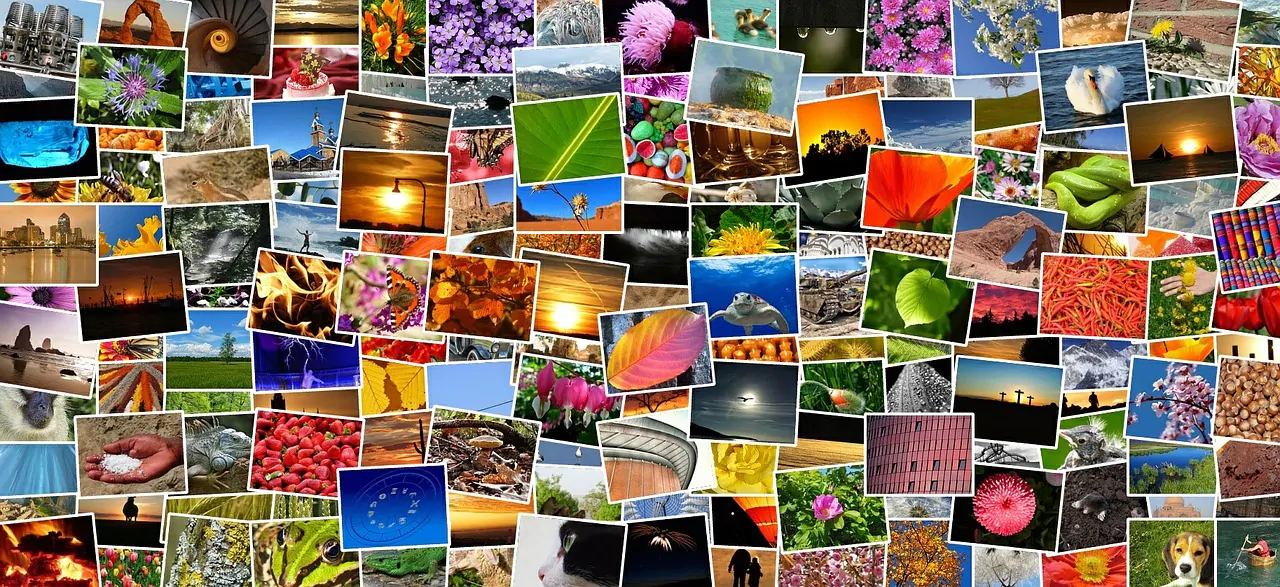 Programmi gratis online per collage foto