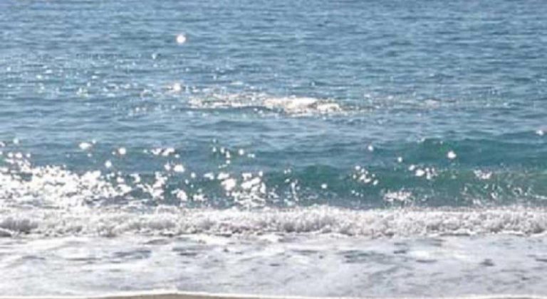 Una signora di 104 anni vede il mare per la prima volta Una signora di 104 anni vede il mare per la prima volta