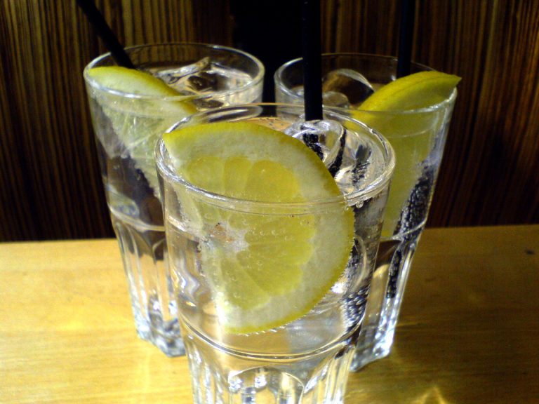gin tonic gin tonic