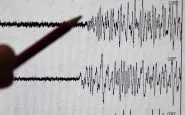 terremoto oggi sisma 701x445