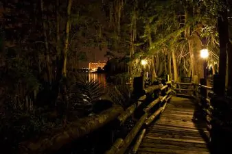 Sentiero illuminato nella notte a Discovery Island