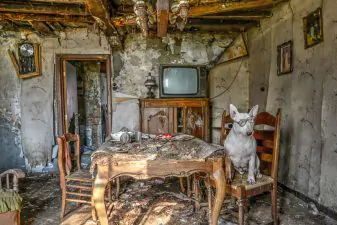 il-mio-cane-ed-io-me-and-my-dog-explore-abandoned-places-across-europe-12__880