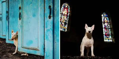 il-mio-cane-ed-io-me-and-my-dog-explore-abandoned-places-across-europe-16__880