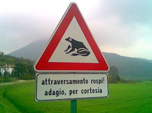 Cartelloni