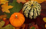 Halloween, tre decorazioni facili e graziose per le zucche