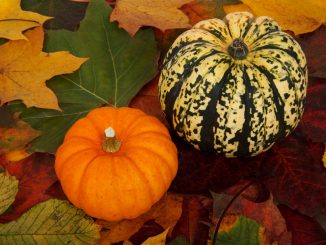 Halloween, tre decorazioni facili e graziose per le zucche