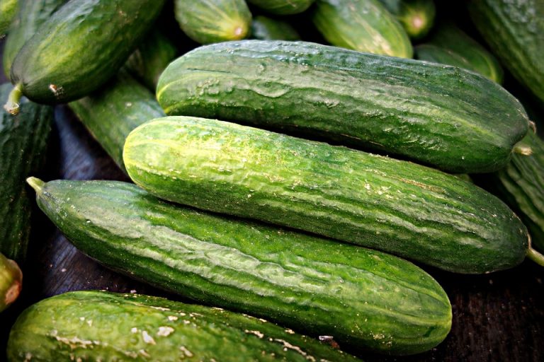 cucumber-1522921_960_720