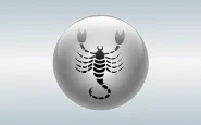Oroscopo: il segno dello Scorpione. Caratteristiche e curiosità