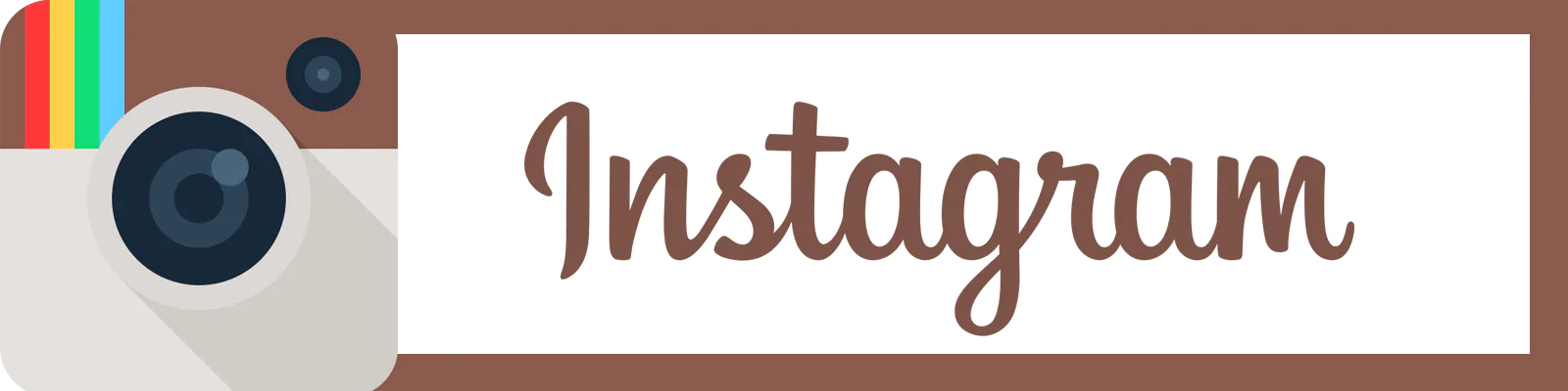 Instagram: profili con più followers
