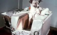 Laika, primo cane nello spazio 3 novembre 1957