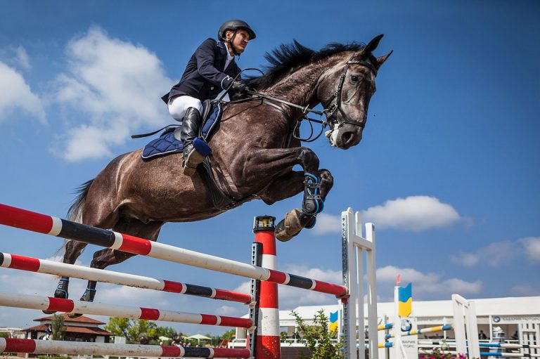 Salto cavallo