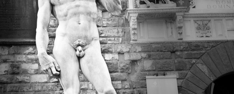Pene piccolo "David" di Michelangelo.