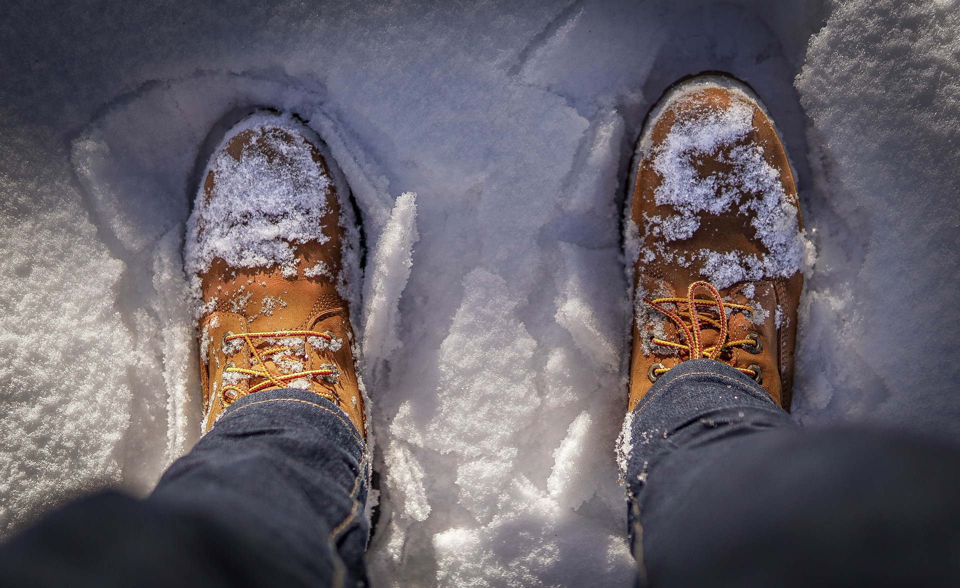 Hermano cortar Diez años Come pulire le scarpe Timberland