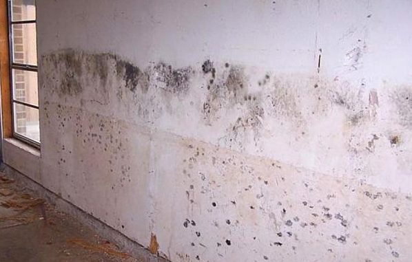 Umidità di risalita nei muri interni: soluzioni Risalita umidità muri