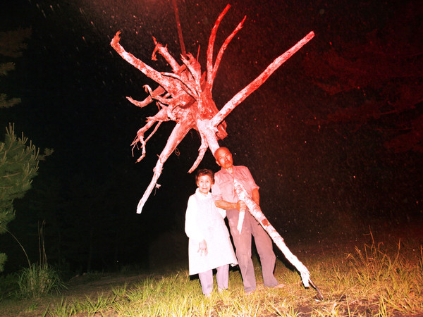 56429-1_lieko-shiga_untitled_serie-rasen_kaigan_2012