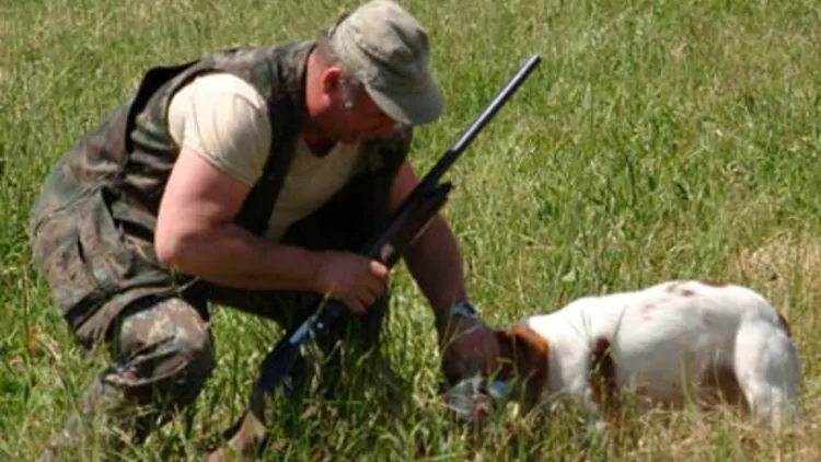 Cacciatore fa uccidere i suoi quattro cani: denunciato