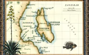 Zanzibar Mappa
